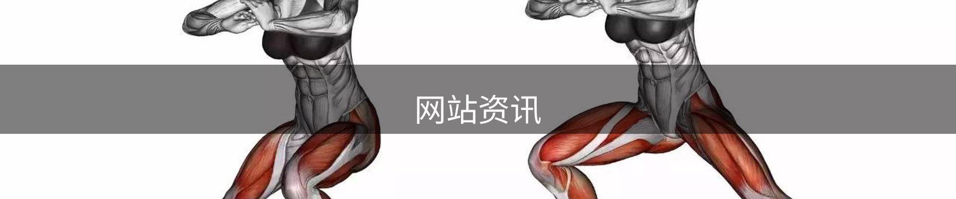 网站资讯